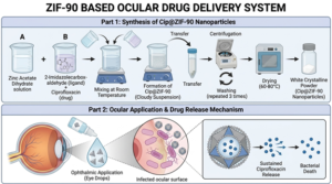 Graphical abstract of ZIF-90 for sustained ciprofloxacin delivery in ocular infections